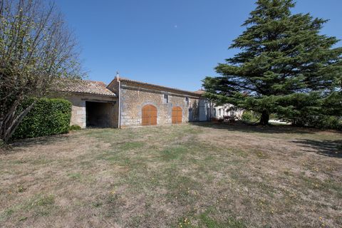 photo no. 14