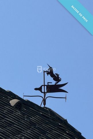 photo no. 15