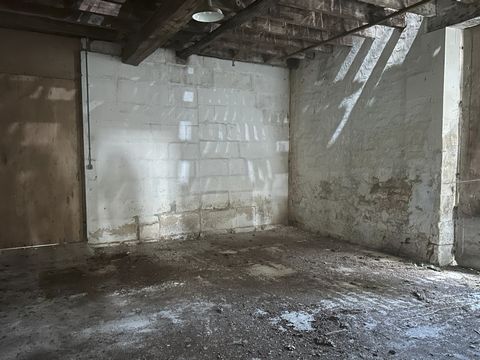 photo no. 5