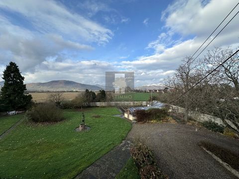 photo no. 4