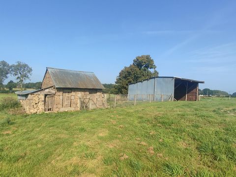 photo no. 2