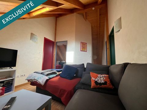 photo no. 11