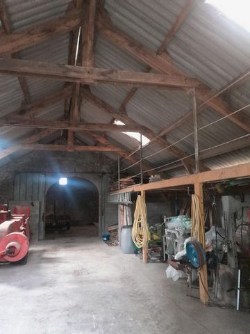 photo no. 14