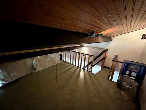 photo no. 13