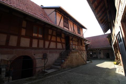 photo no. 1