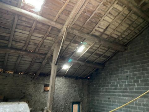 photo no. 12