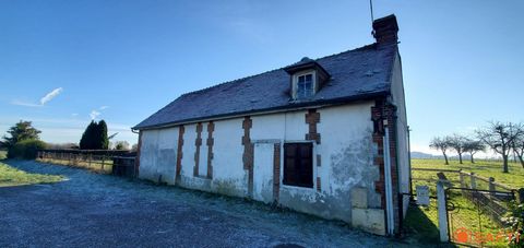 photo no. 9