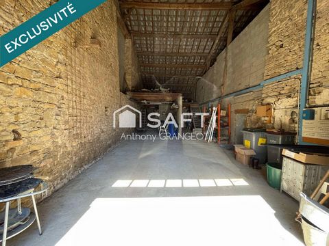 photo no. 13