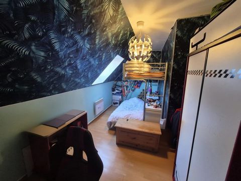 photo no. 8