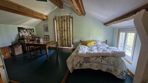 photo no. 10