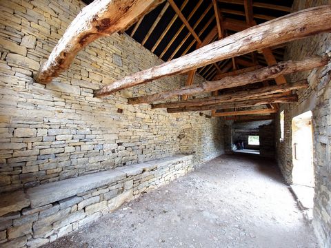 photo no. 16