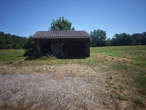 photo no. 1