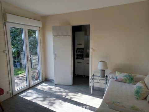 photo no. 17