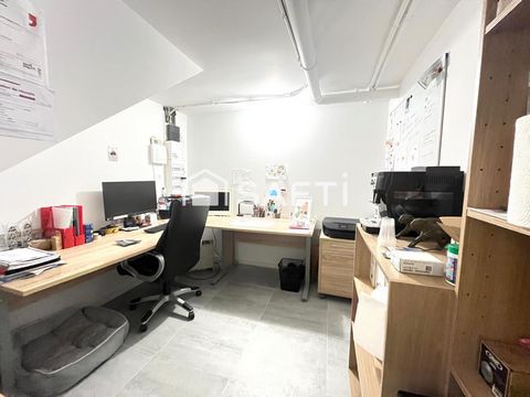 photo no. 11