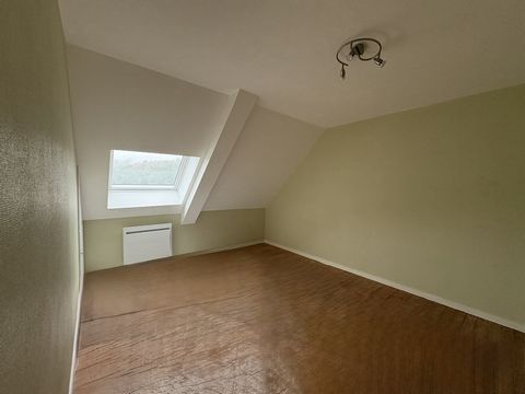 photo no. 11