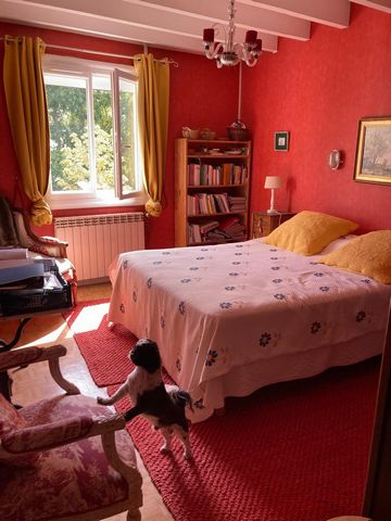 photo no. 6