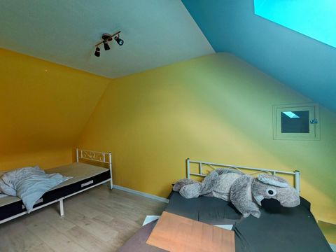 photo no. 8
