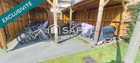 photo no. 14