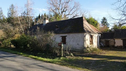 photo no. 14