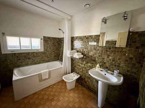 photo no. 10