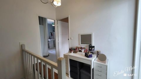 photo no. 5