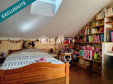 photo no. 12