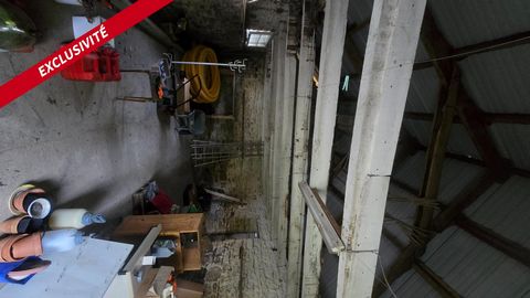 photo no. 15