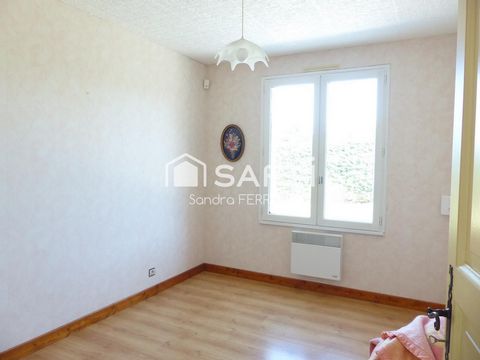 photo no. 5