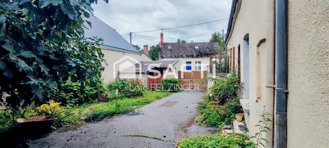 photo no. 12