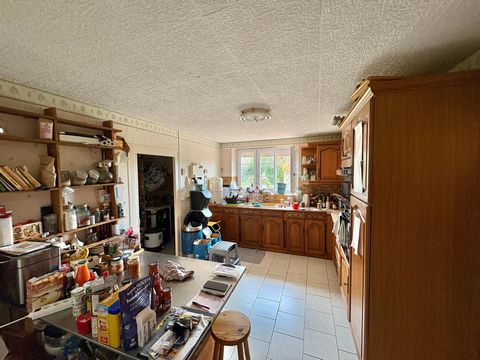 photo no. 5