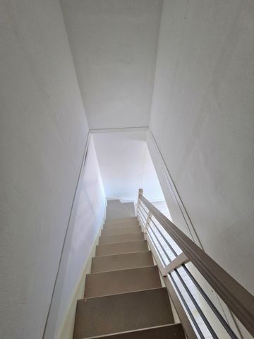photo no. 9