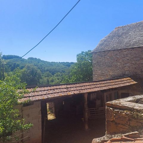 photo no. 2