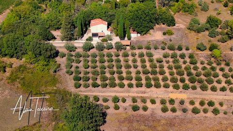 Authentique mas provencal avec oliveraie sur 4Ha