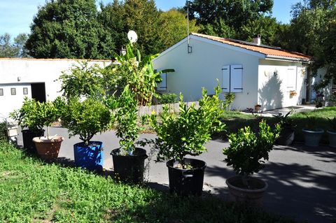 photo no. 15