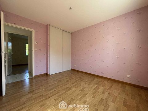 photo no. 11