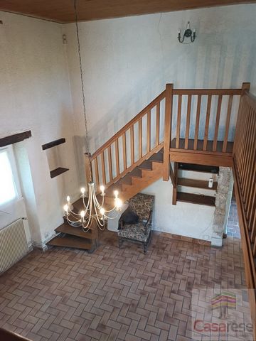 photo no. 12