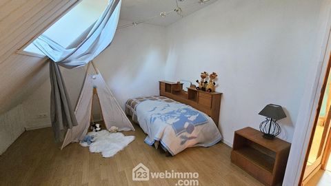photo no. 14