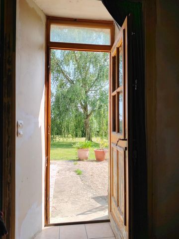 photo no. 9