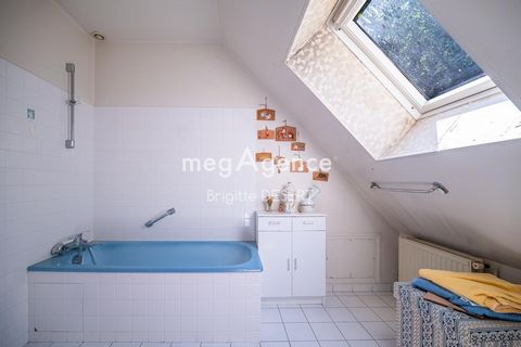 photo no. 13