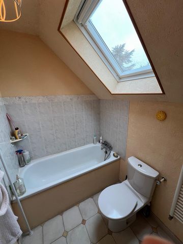 photo no. 11