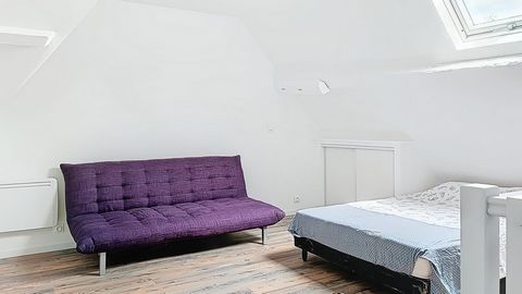 photo no. 10