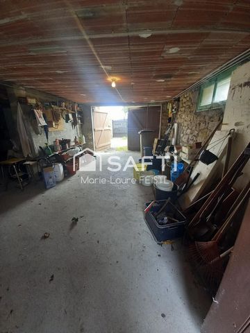 photo no. 14