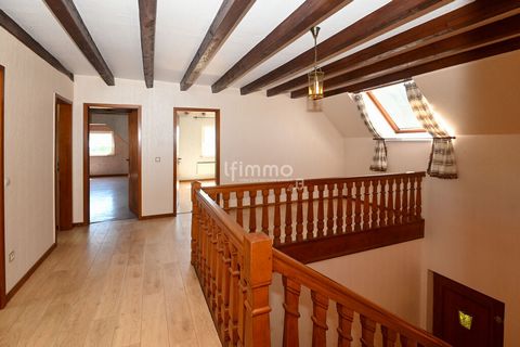 photo no. 18