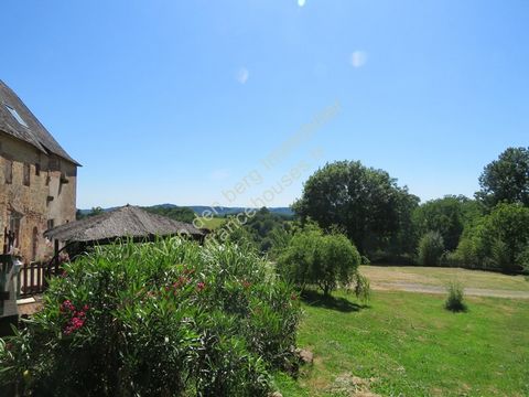 photo no. 24