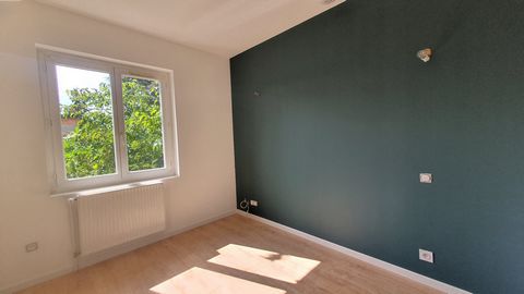 photo no. 12