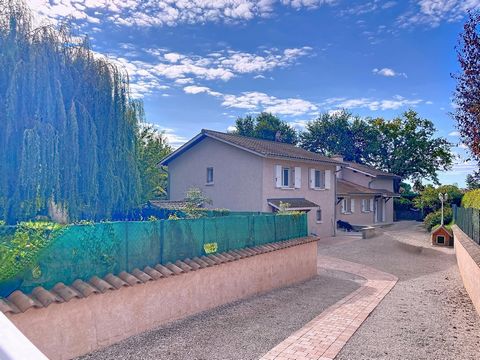 photo no. 11