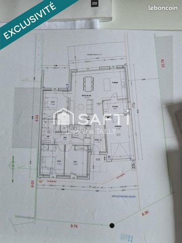 photo no. 7