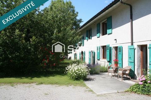 photo no. 4