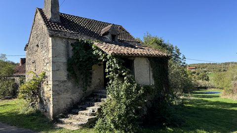 photo no. 1