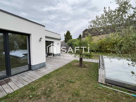 photo no. 11